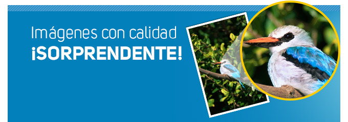 Imágenes con calidad isorprendente